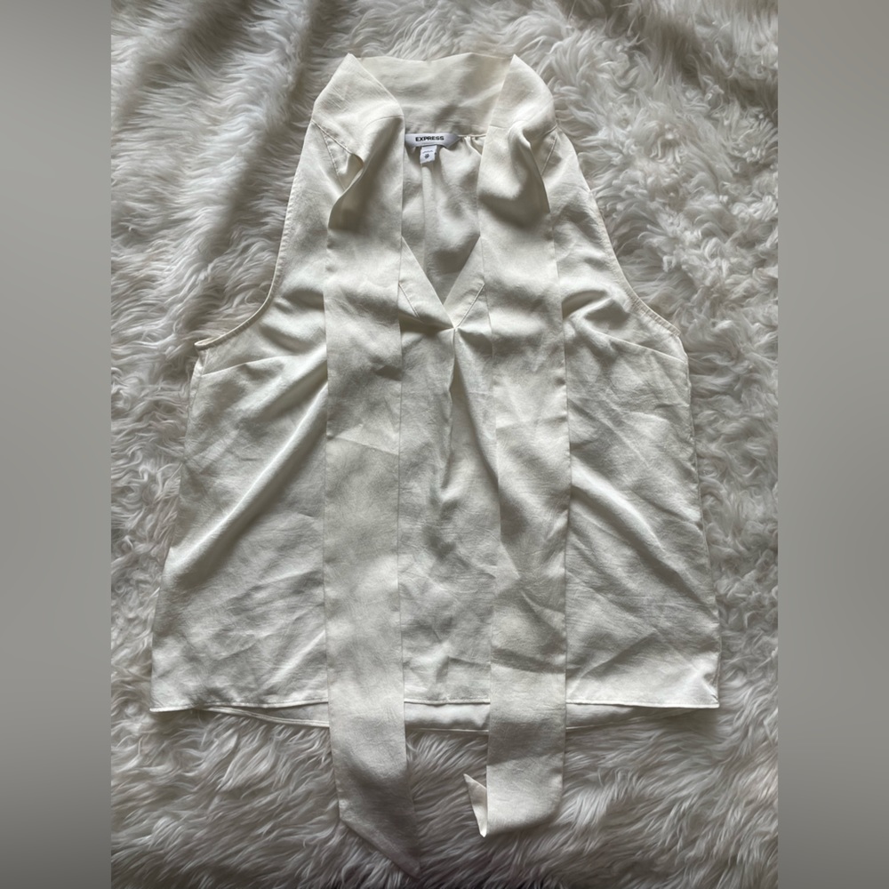 Express Sleeveless Tie Neck Top